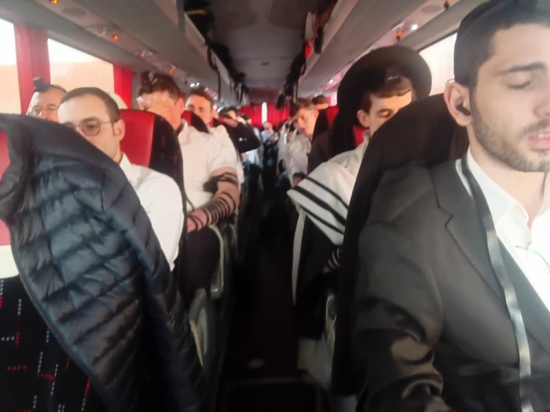 באדיבות המצל