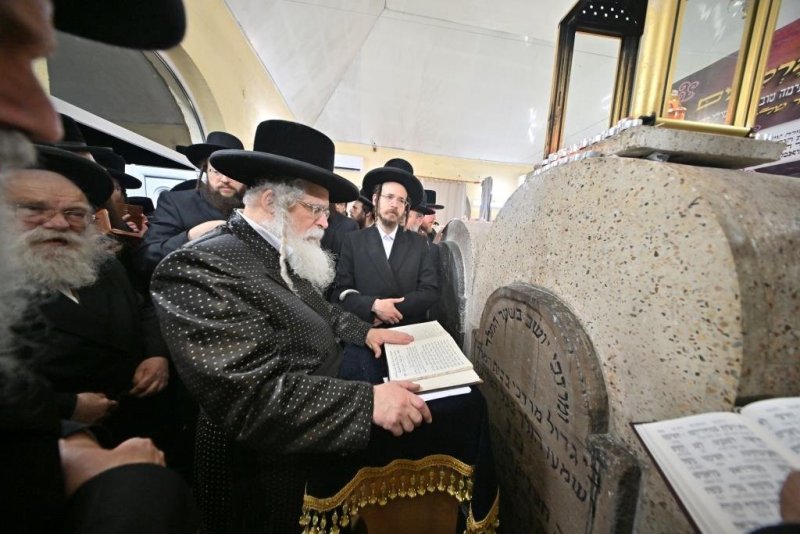 יהושע פרוכטר