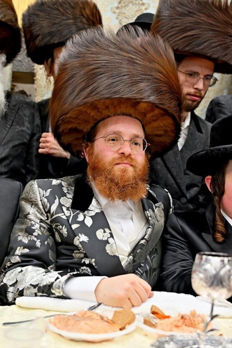 יהושע פרוכטר