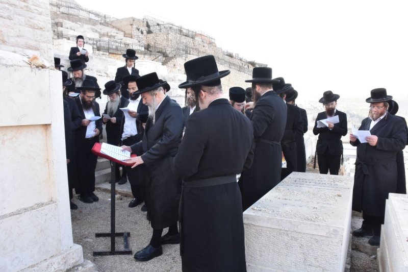 יהודה פרקוביץ