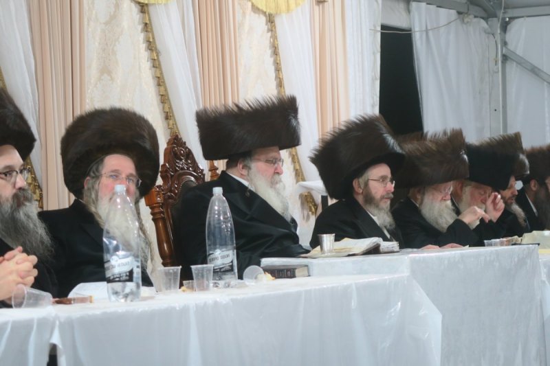 מ. אדלר