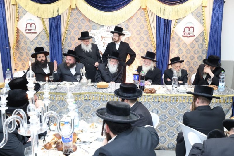 קובי הר צבי