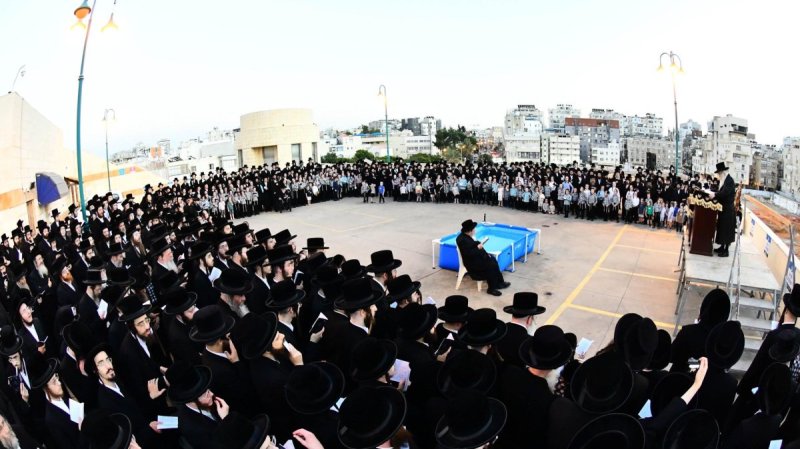 שוקי לרר
