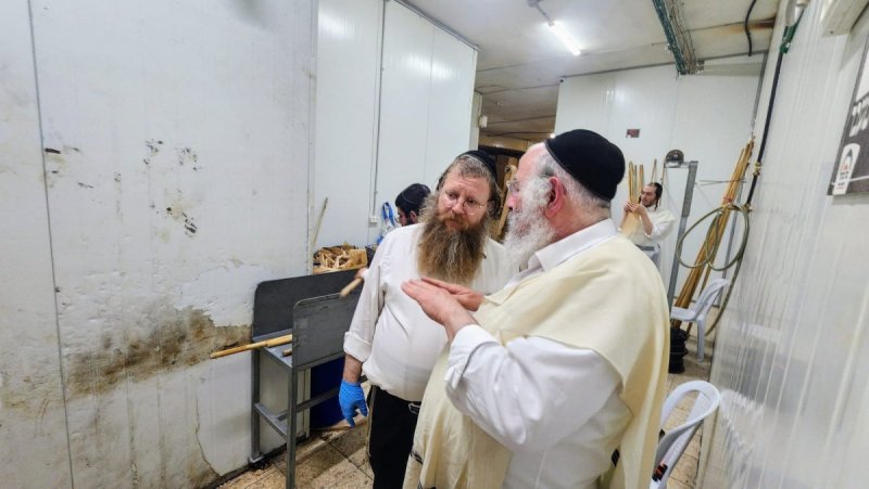 באדיבות המצלם