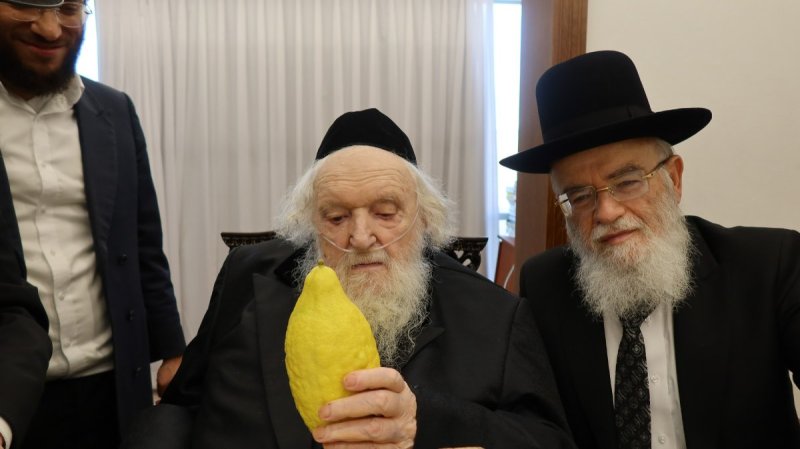 באדיבות המצלם