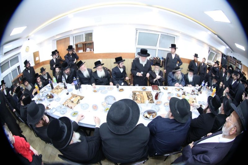 שלומי טריכטר