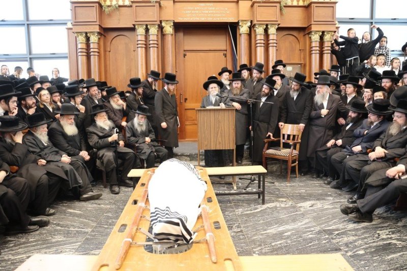 שלומי טריכטר