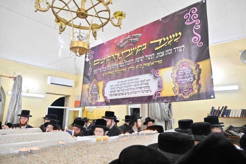 יהושע פרוכטר