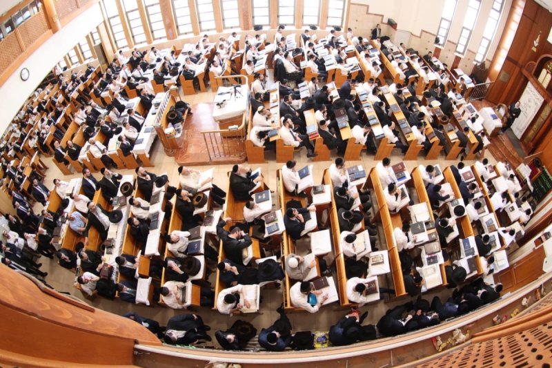 שלומי טריכטר