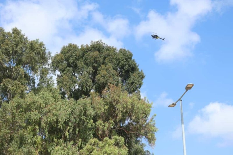 שמוליק קורלנסקי