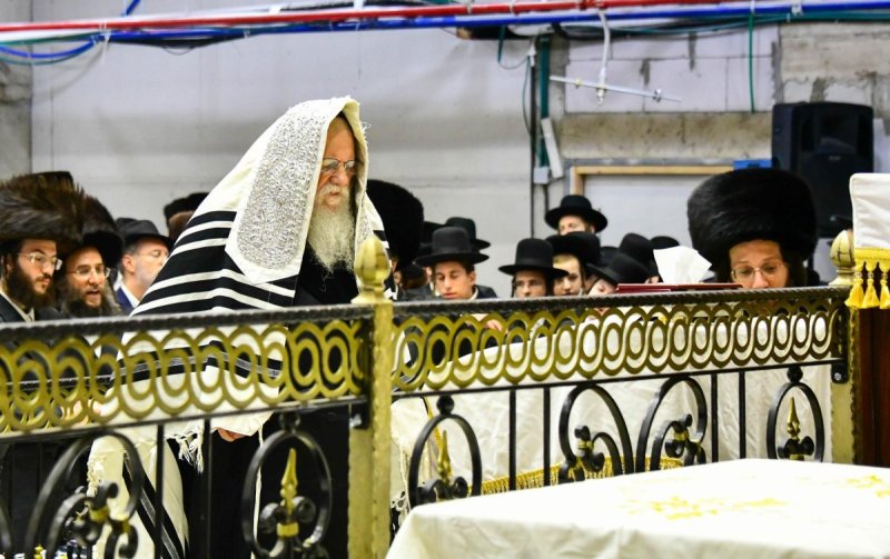 שוקי לרר