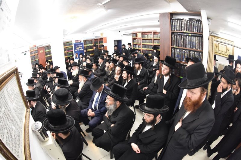 יהודה פרקוביץ