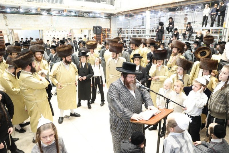 שלומי טריכטר