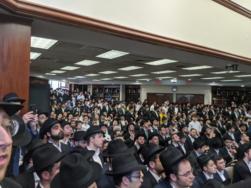 דניאל נפוסי ואלי קובין