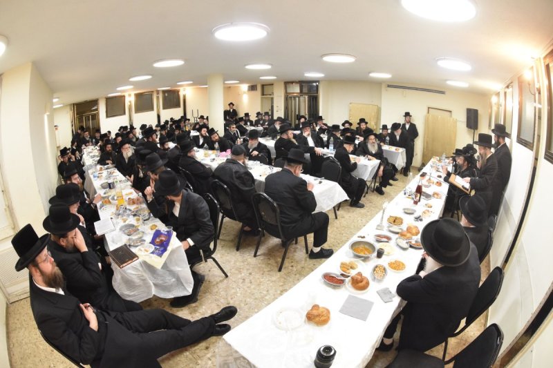 יהודה פרקוביץ