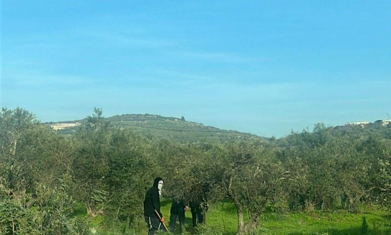יהודים הציתו רכבים פלסטינים בשומרון, דיווח: אחד נפצע אנוש