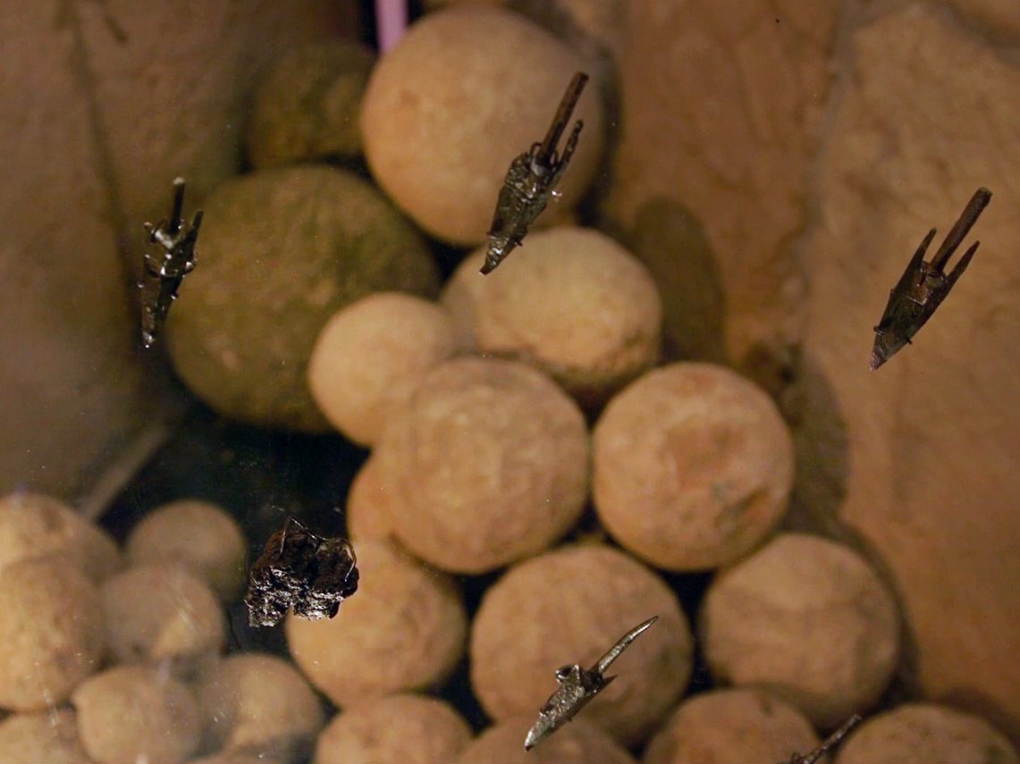 רשות העתיקות / מגדל דוד מוזיאון ירושלים