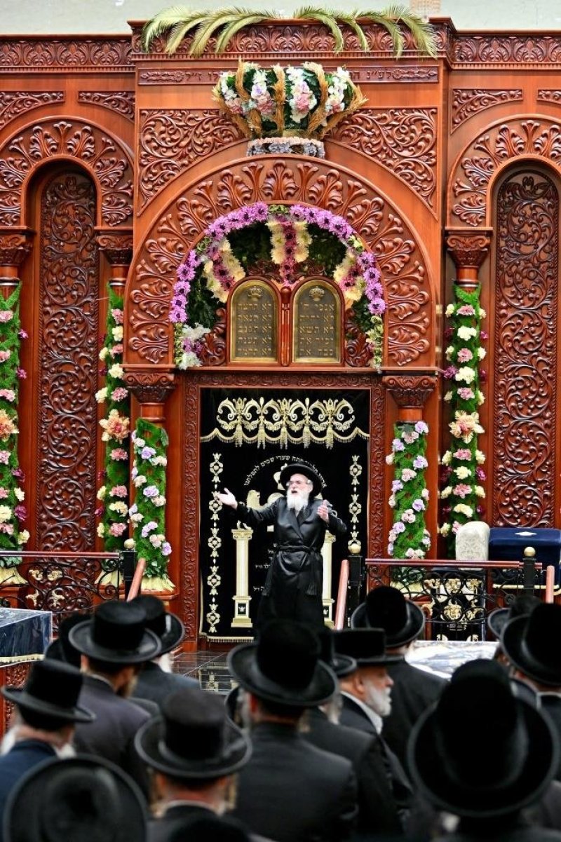 יהושע פרוכטר