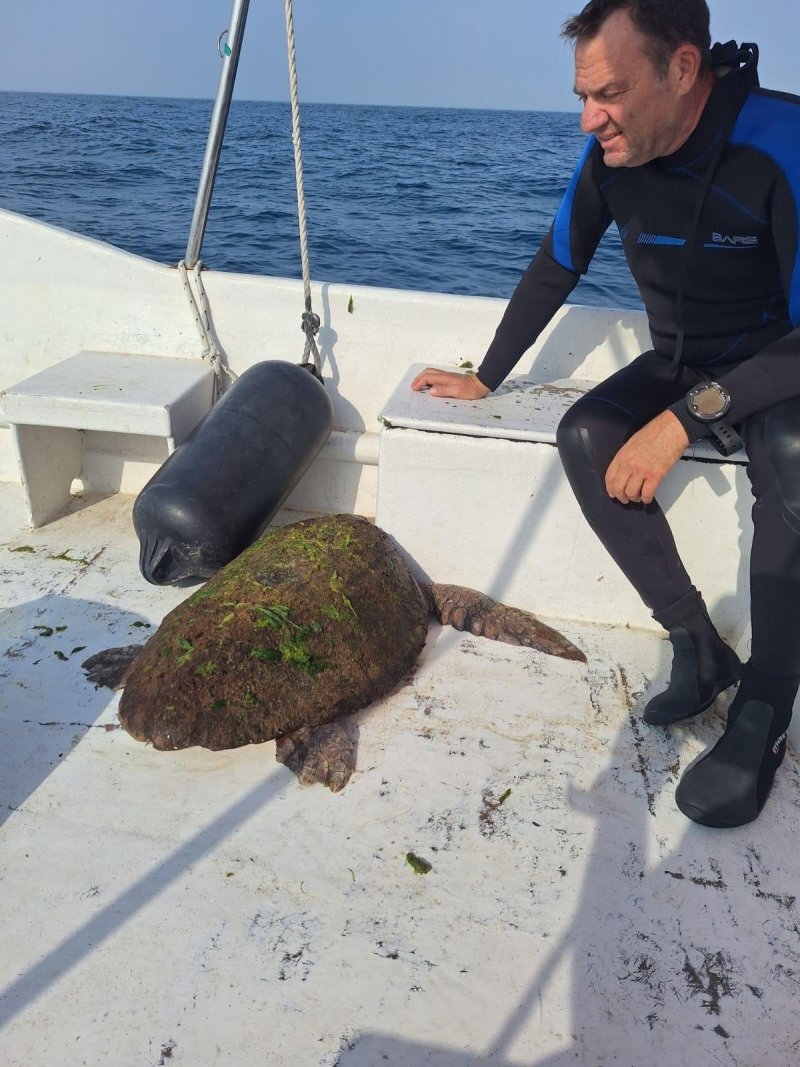 משרד הביטחון