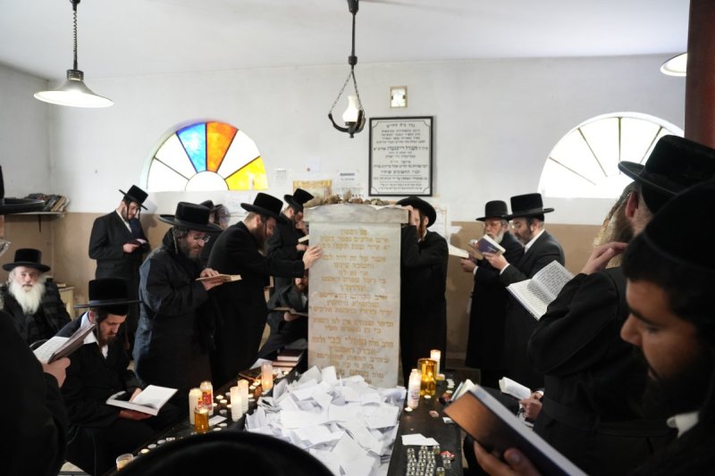 ארי גרינבלאט