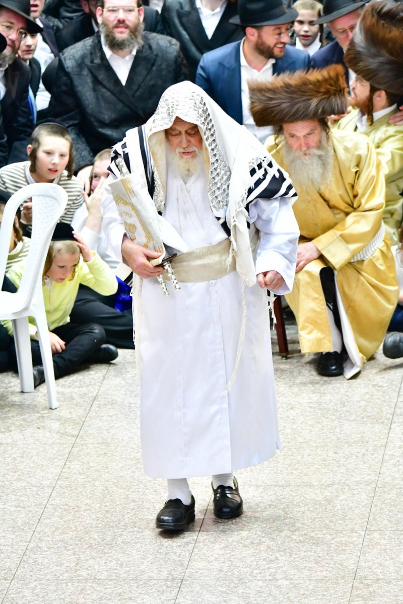 שוקי לרר