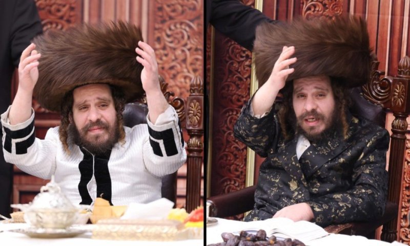 הרבי החליף בעקיטשע'ס באמצע הטיש: ט"ו בשבט אצל 'צינור השפע' 