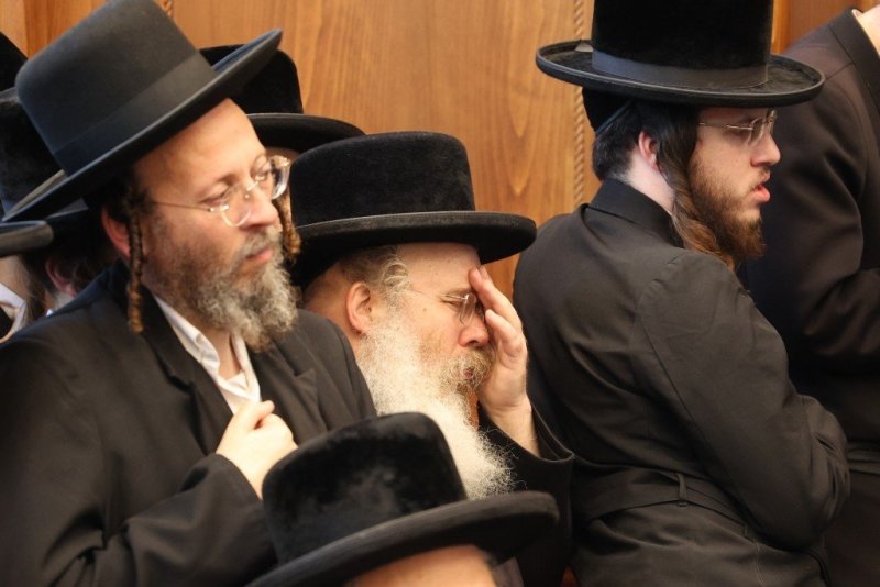 שלומי טריכטר