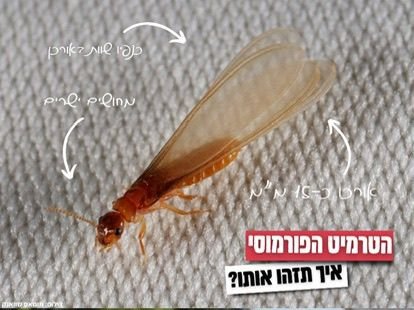 המשרד להגנת הסביבה