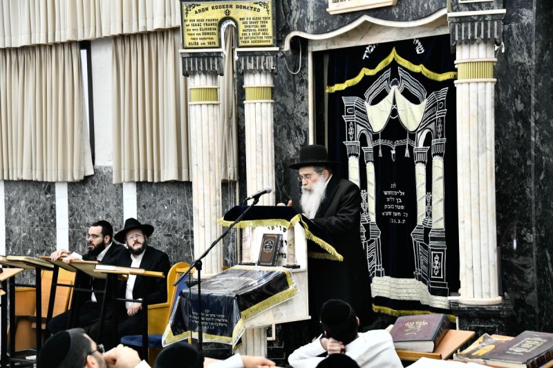 שוקי לרר