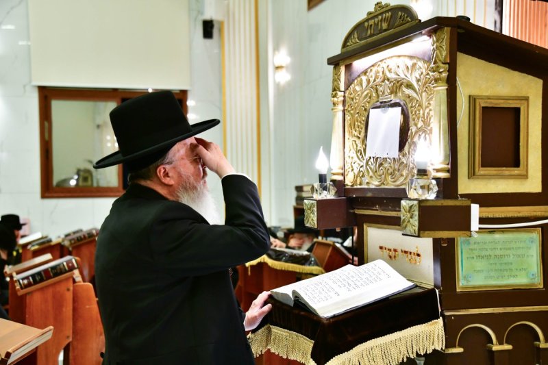 שוקי לרר
