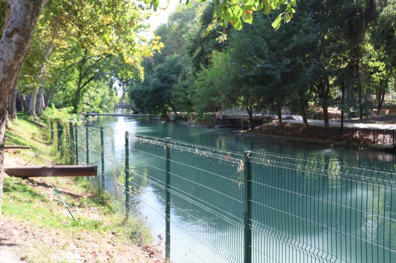 מרדכי לובעצקי