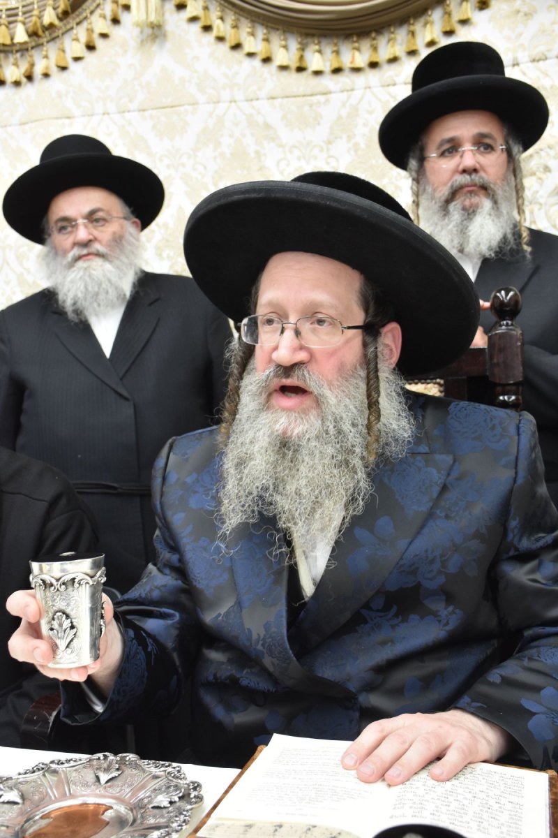 יהודה פרקוביץ