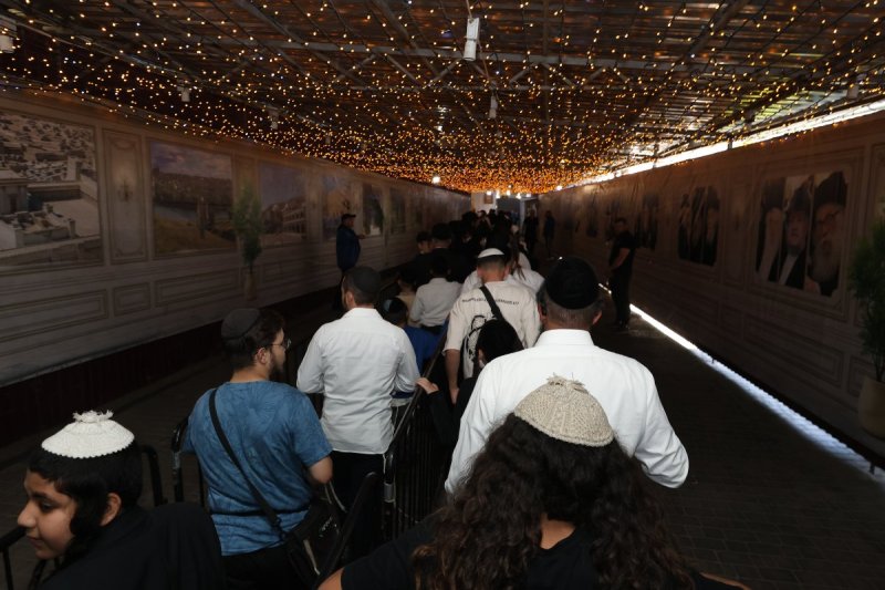 יהודה וויס