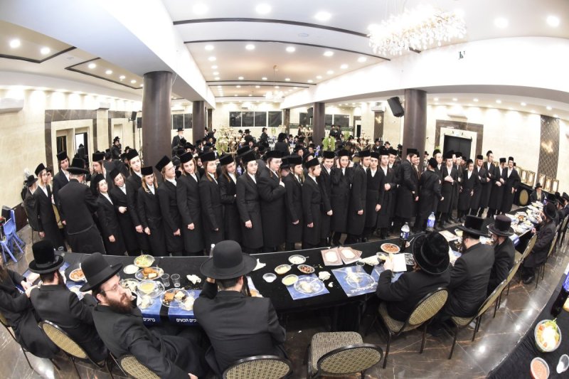 יהודה פרקוביץ