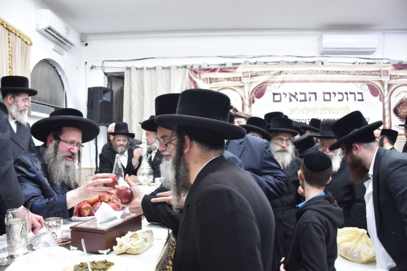 יהודה פרקוביץ