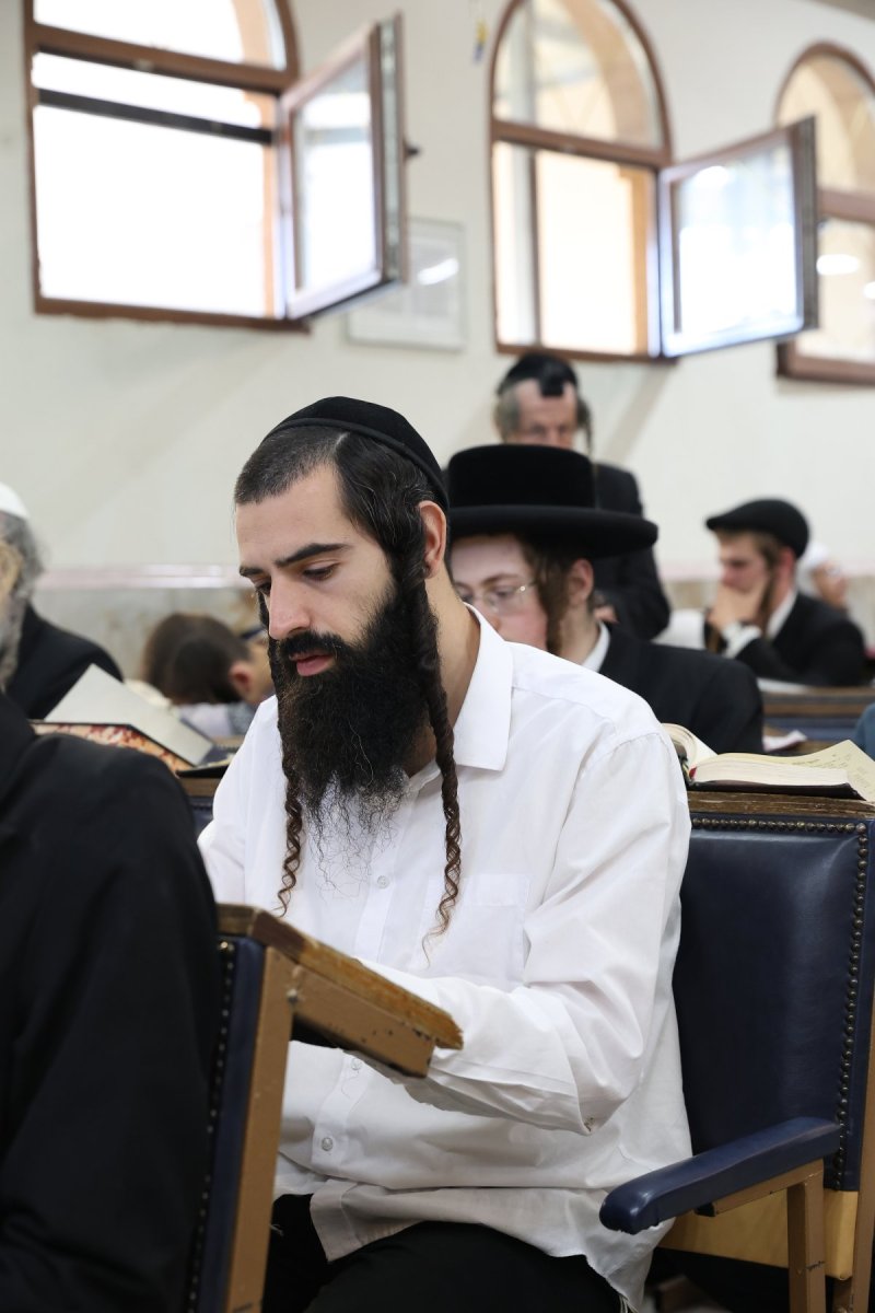 יהודה וויס