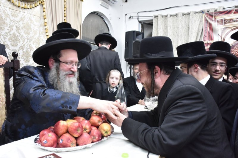 יהודה פרקוביץ