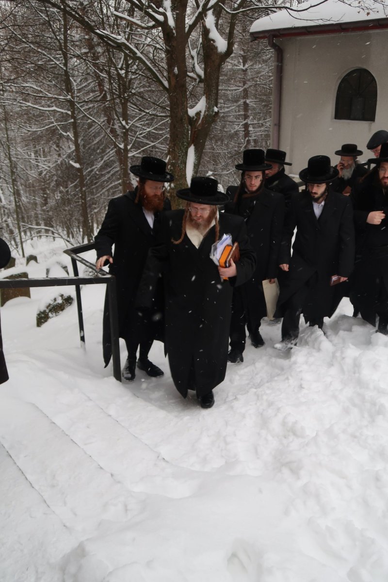 יוחנן לוסטיג