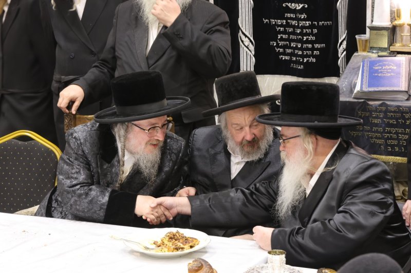 נתי אמרגי