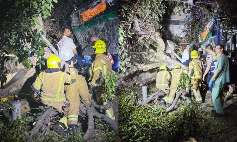 אוטבוס התנגש בעץ ובעמוד חשמל במרכז תל אביב: 10 נפגעו, ילדה במצב אנוש