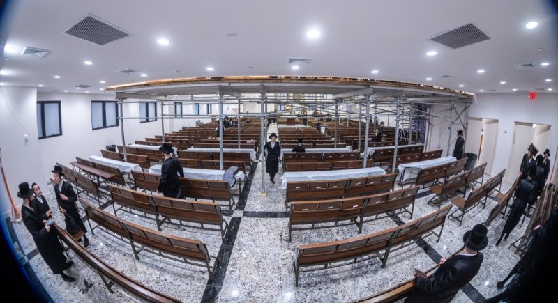 האחים לאנטשעווסקי ואושי וויינגארטן