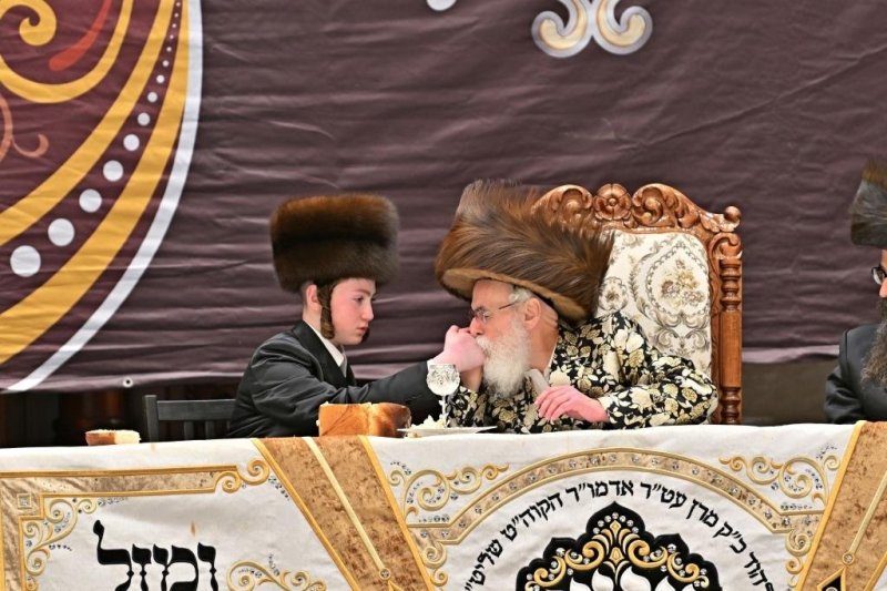 יהושע פרוכטר