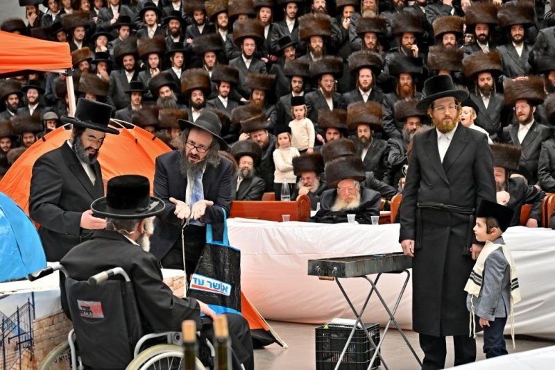 יהושע פרוכטר