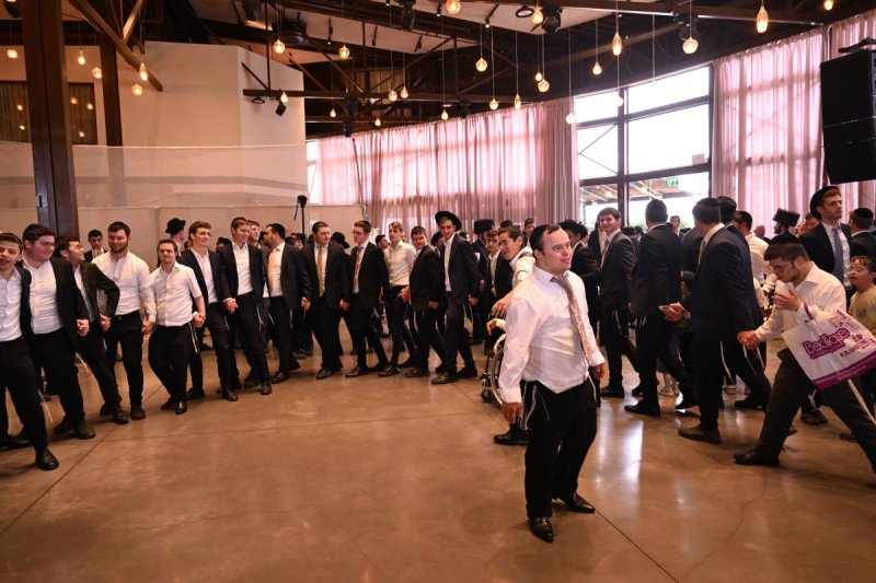 ליפא מוזר