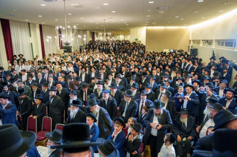 דניאל נפוסי ומאיר זלזניק