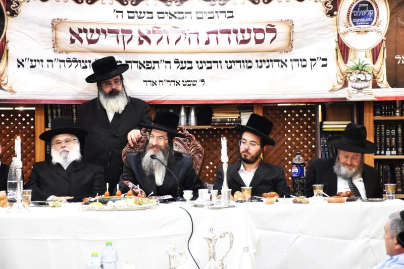 יהודה פרקוביץ