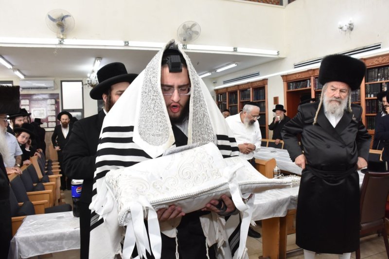 יהודה פרקוביץ