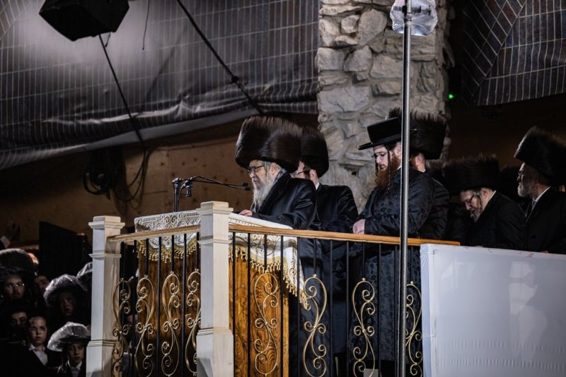 י. שטיין