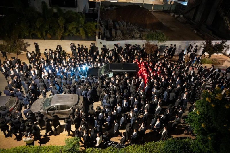 מאיר זלזניק