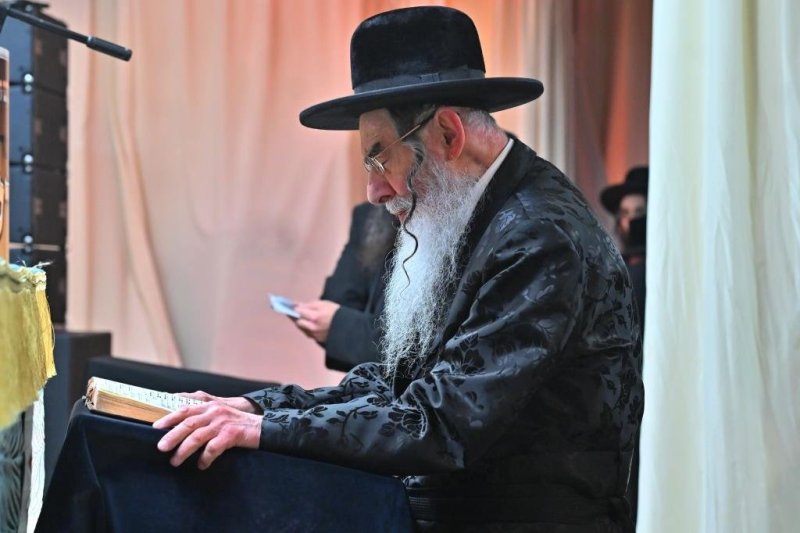 יהושע פרוכטר